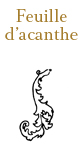 Feuille d'acanthe