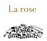 La rose