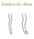 Jambes